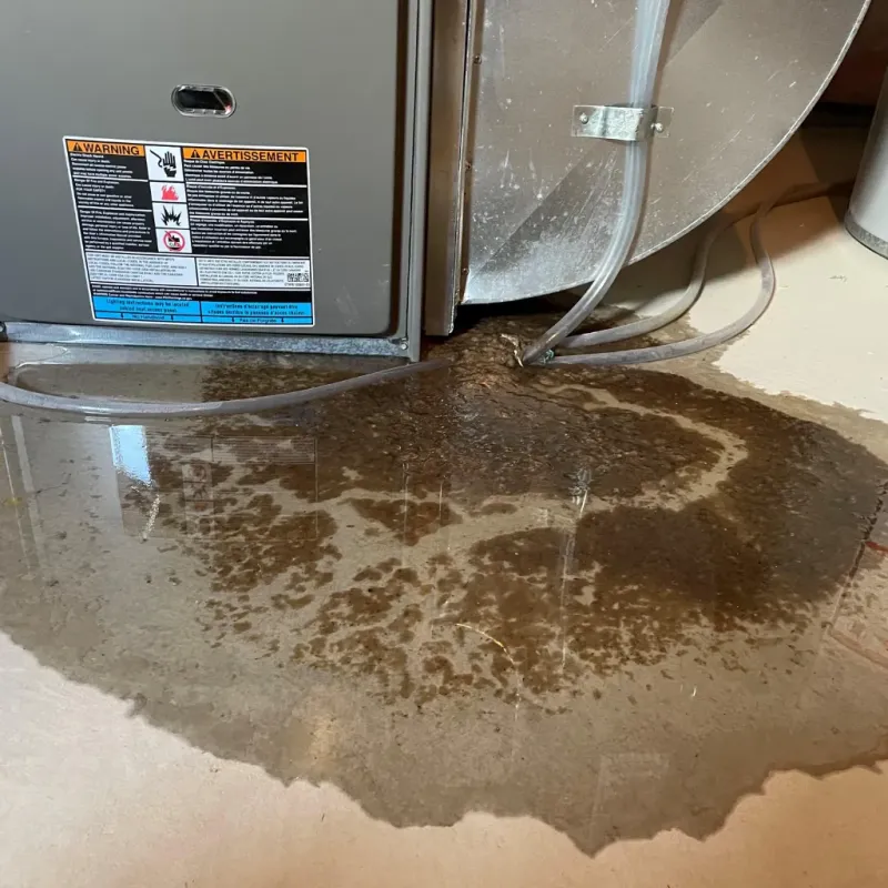 Appliance Leak Cleanup in Dallas, NC